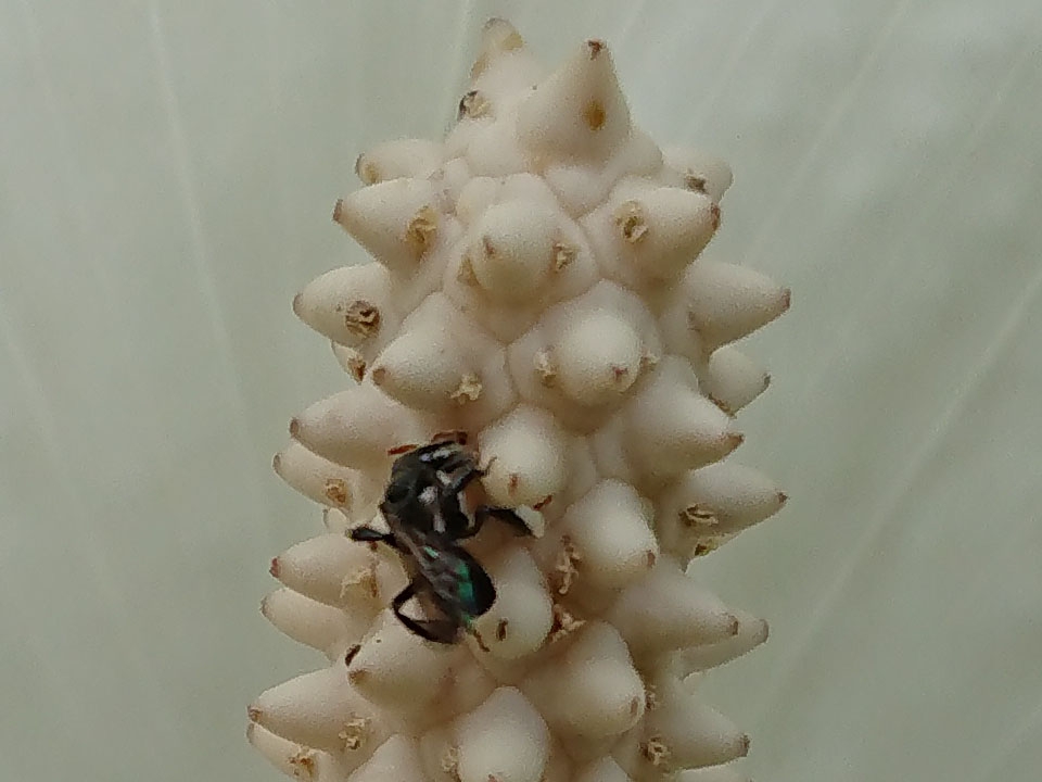 Ảnh chụp từ Camera Xperia XZ1 26