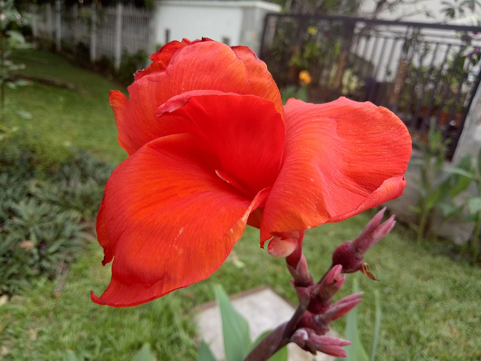 Ảnh đủ sáng 9