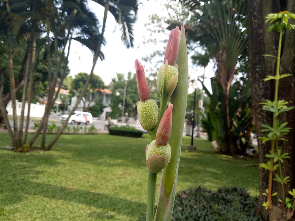 Ảnh đủ sáng 10