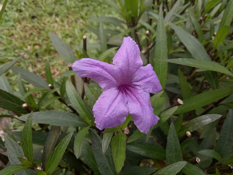 Ảnh đủ sáng 11