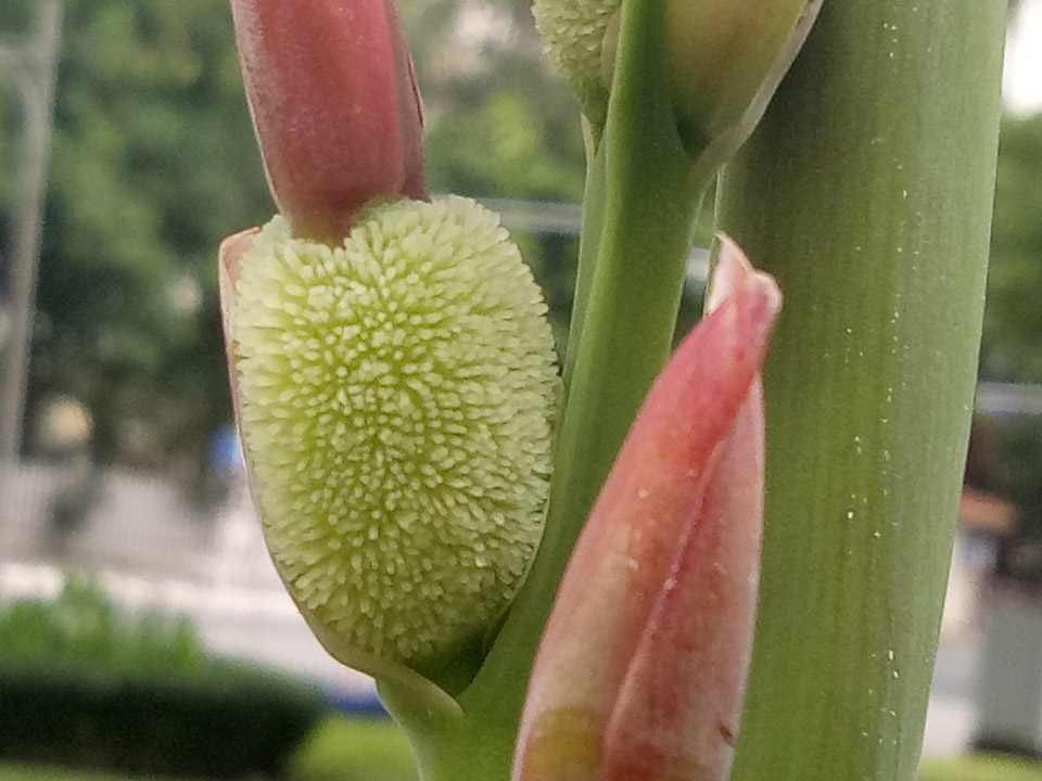 Ảnh crop đủ sáng 10