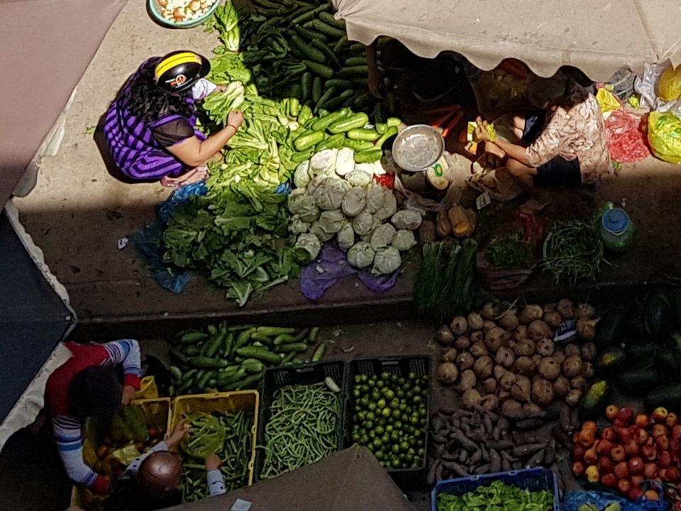 Crop đủ sáng 2