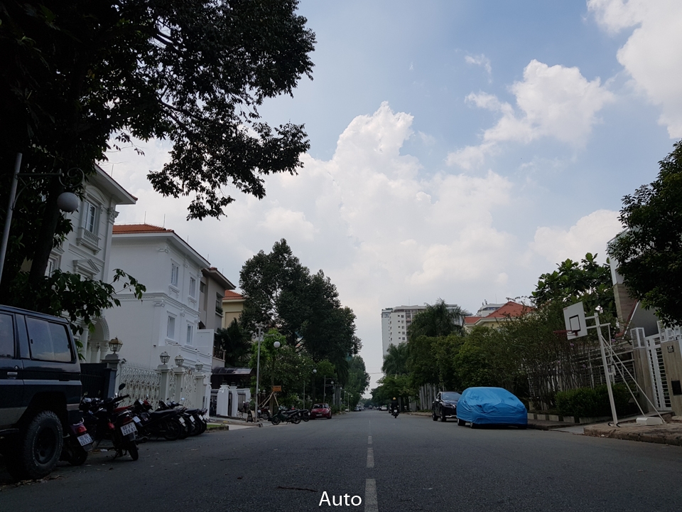 Ảnh ngược sáng 2