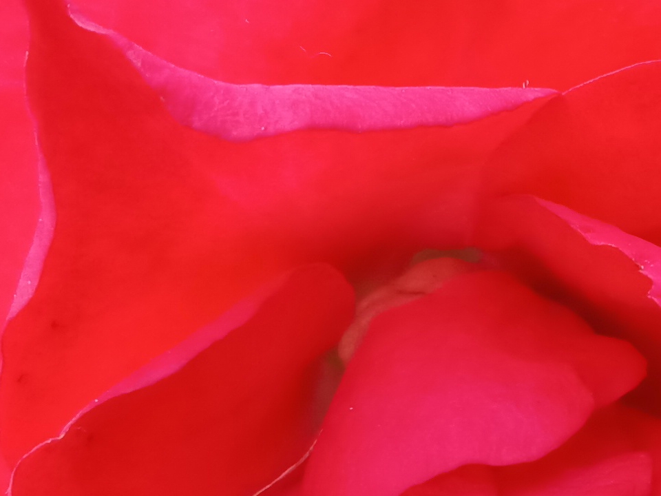 crop đủ sáng 3