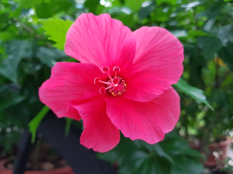 Ảnh đủ sáng 10
