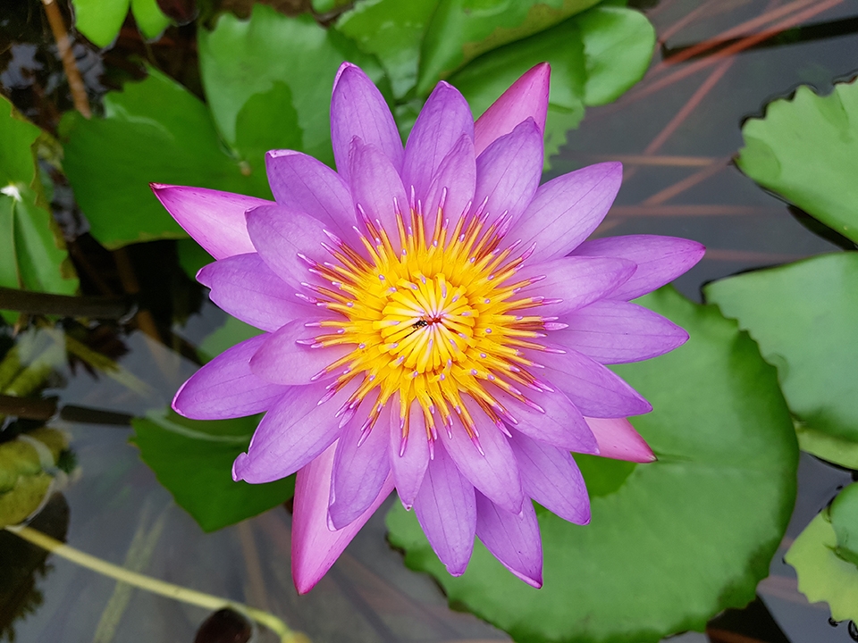 ảnh đủ sáng 8