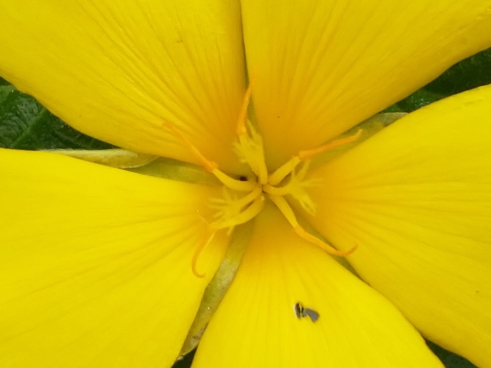 Ảnh crop 4