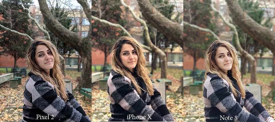 So sánh ảnh chân dung Note 8 vs iPhone X vs Pixel 2 (ảnh 13)