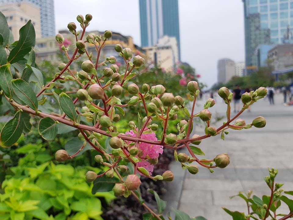 Ảnh đủ sáng Galaxy A8 2018 (ảnh 6)