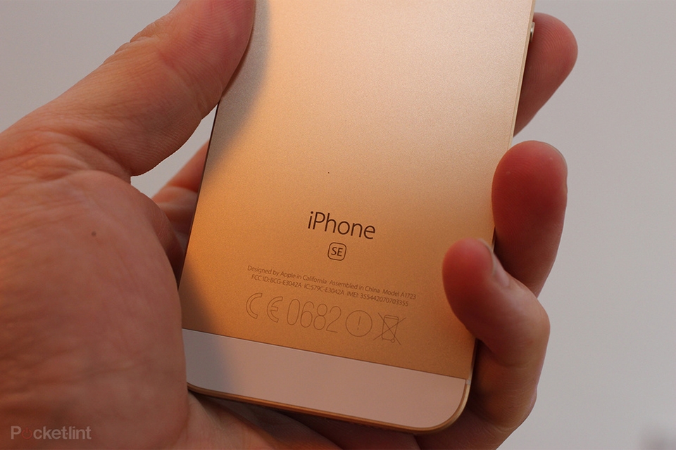 Chân dung iPhone SE 2 qua loạt tin rò rỉ (ảnh 1)