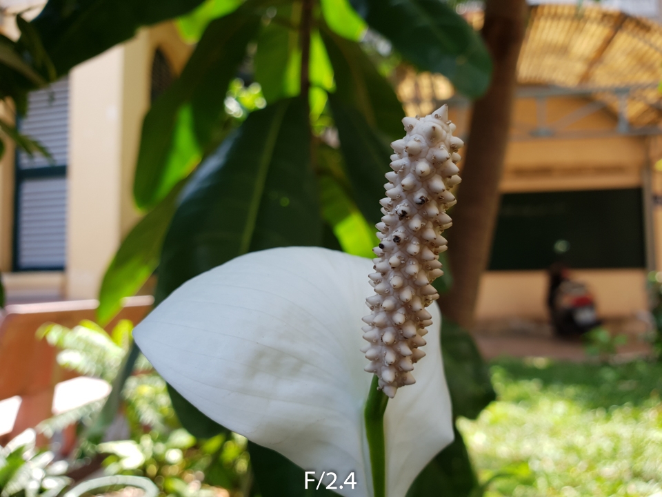 Trải nghiệm camera Galaxy S9 (ảnh 7)