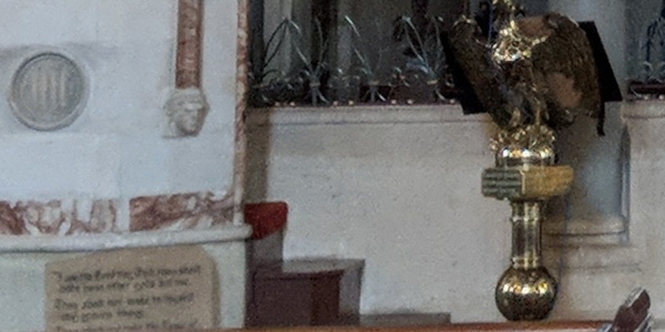 So sánh camera Galaxy S9 với iPhone X và Pixel 2 (ảnh 19)