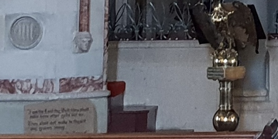 So sánh camera Galaxy S9 với iPhone X và Pixel 2 (ảnh 18)