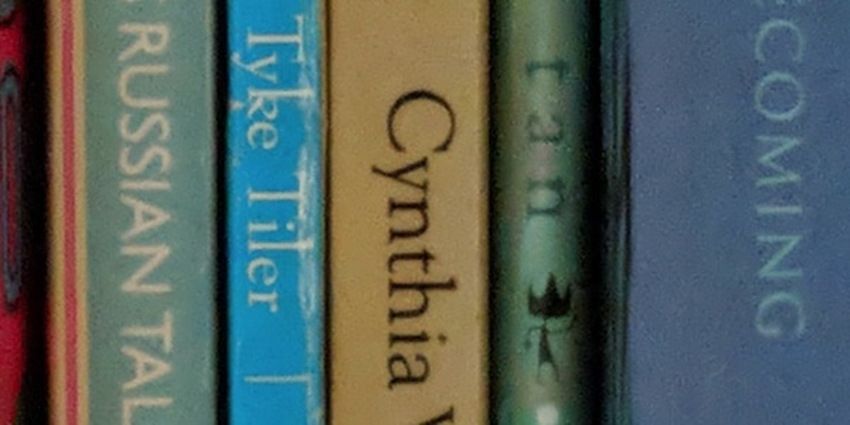 So sánh camera Galaxy S9 với iPhone X và Pixel 2 (ảnh 30)