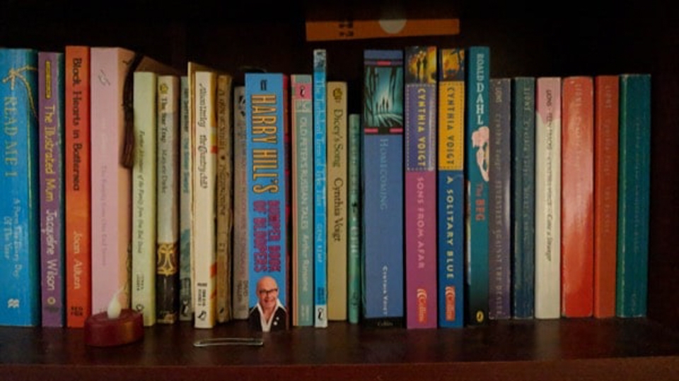 So sánh camera Galaxy S9 với iPhone X và Pixel 2 (ảnh 27)