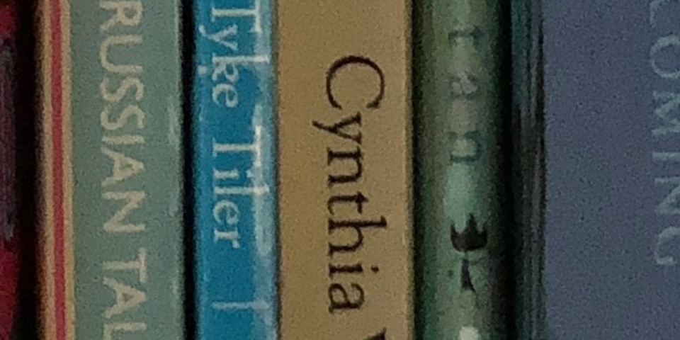 So sánh camera Galaxy S9 với iPhone X và Pixel 2 (ảnh 28)