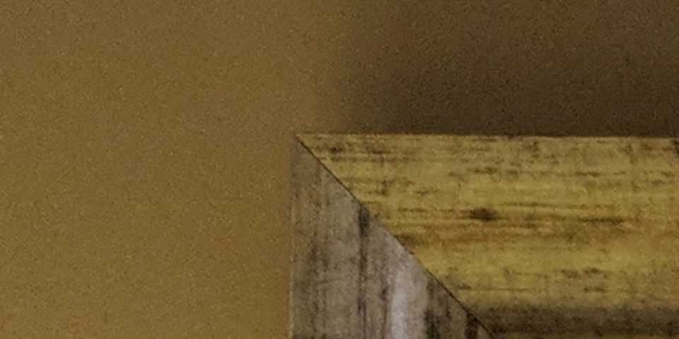 So sánh camera Galaxy S9 với iPhone X và Pixel 2 (ảnh 26)