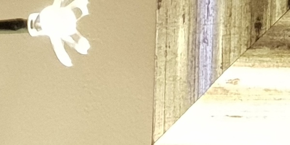 So sánh camera Galaxy S9 với iPhone X và Pixel 2 (ảnh 22)