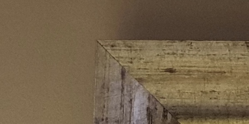 So sánh camera Galaxy S9 với iPhone X và Pixel 2 (ảnh 25)