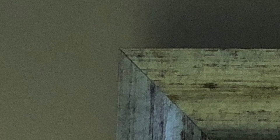 So sánh camera Galaxy S9 với iPhone X và Pixel 2 (ảnh 24)