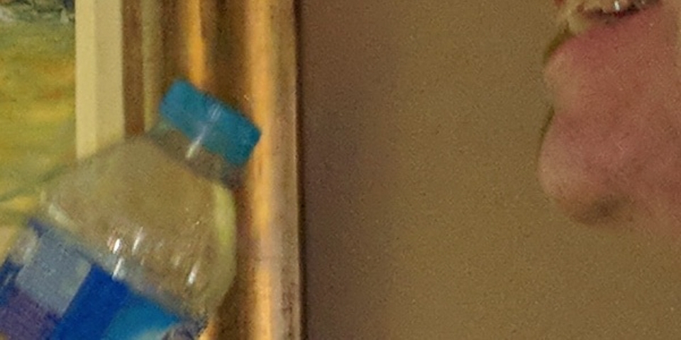 So sánh camera Galaxy S9 với iPhone X và Pixel 2 (ảnh 34)