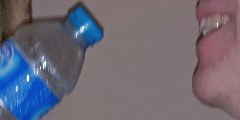 So sánh camera Galaxy S9 với iPhone X và Pixel 2 (ảnh 33)