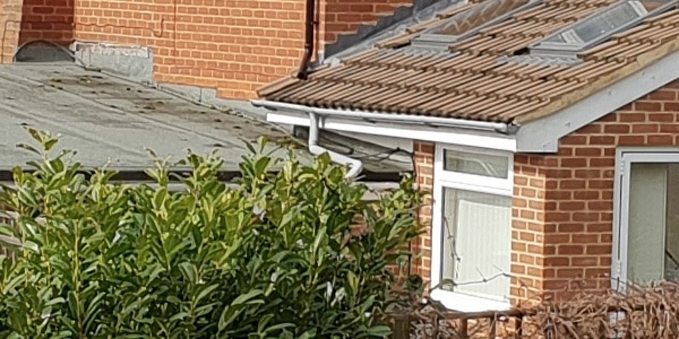 So sánh camera Galaxy S9 với iPhone X và Pixel 2 (ảnh 6)