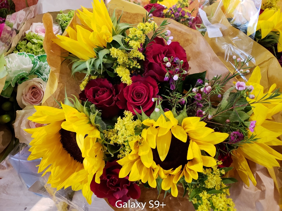 So sánh camera Galaxy S9+ và Google Pixel 2 XL (ảnh 3)