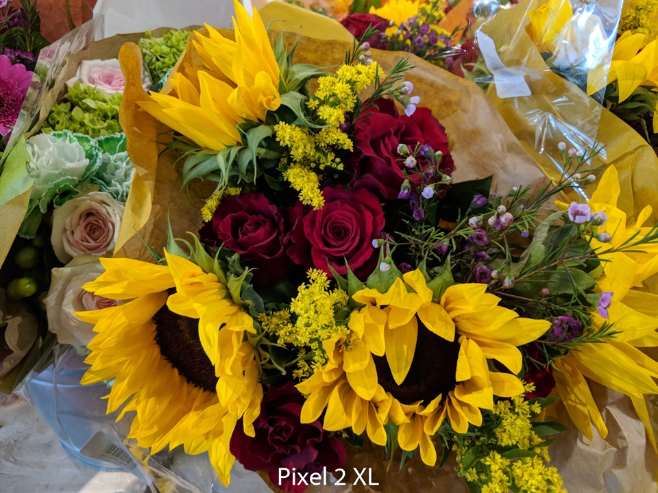 So sánh camera Galaxy S9+ và Google Pixel 2 XL (ảnh 3)