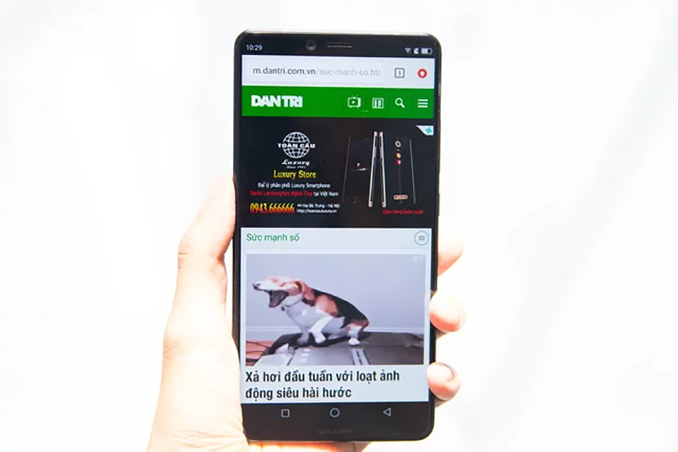 Sharp Aquos S3 (ảnh 9)
