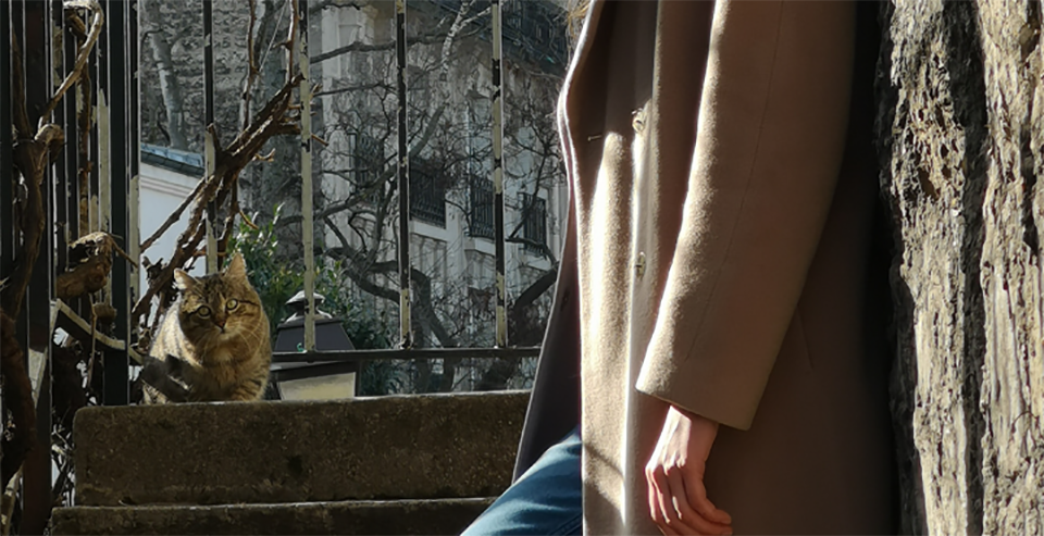 Ảnh crop Huawei P20 Pro Ảnh crop Huawei P20 Pro