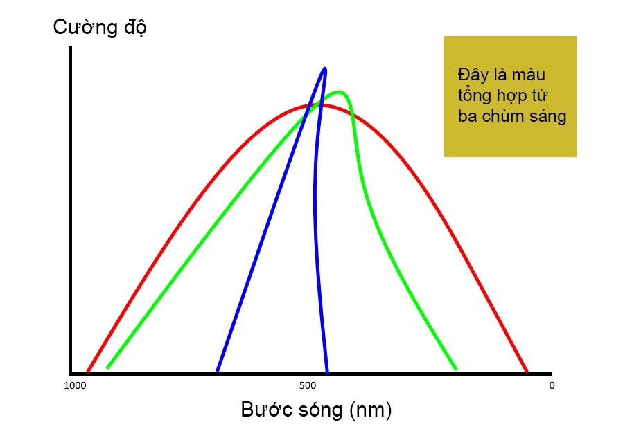 Điểm mới trên Android 8.0 làm màu trung thực hơn?