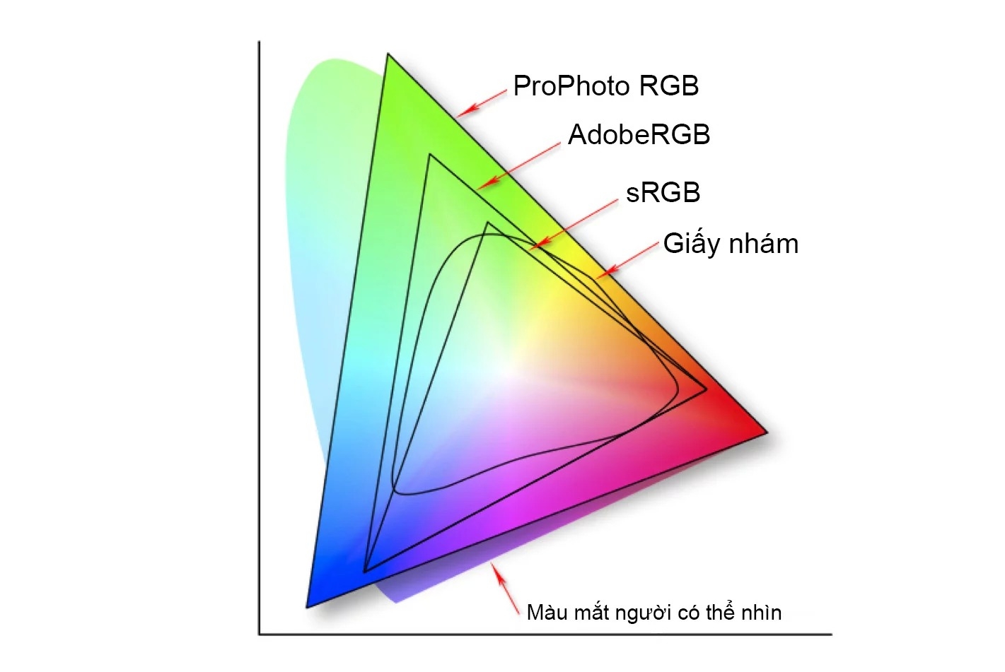 Điểm mới trên Android 8.0 làm màu trung thực hơn?