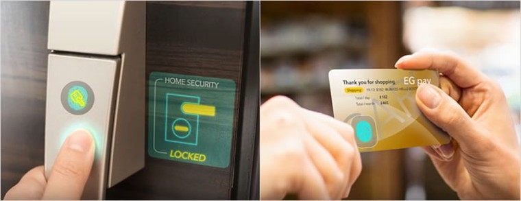 Tích hợp cảm biến vân tay dưới tấm nền cảm ứng LCD Tích hợp cảm biến vân tay dưới tấm nền cảm ứng LCD