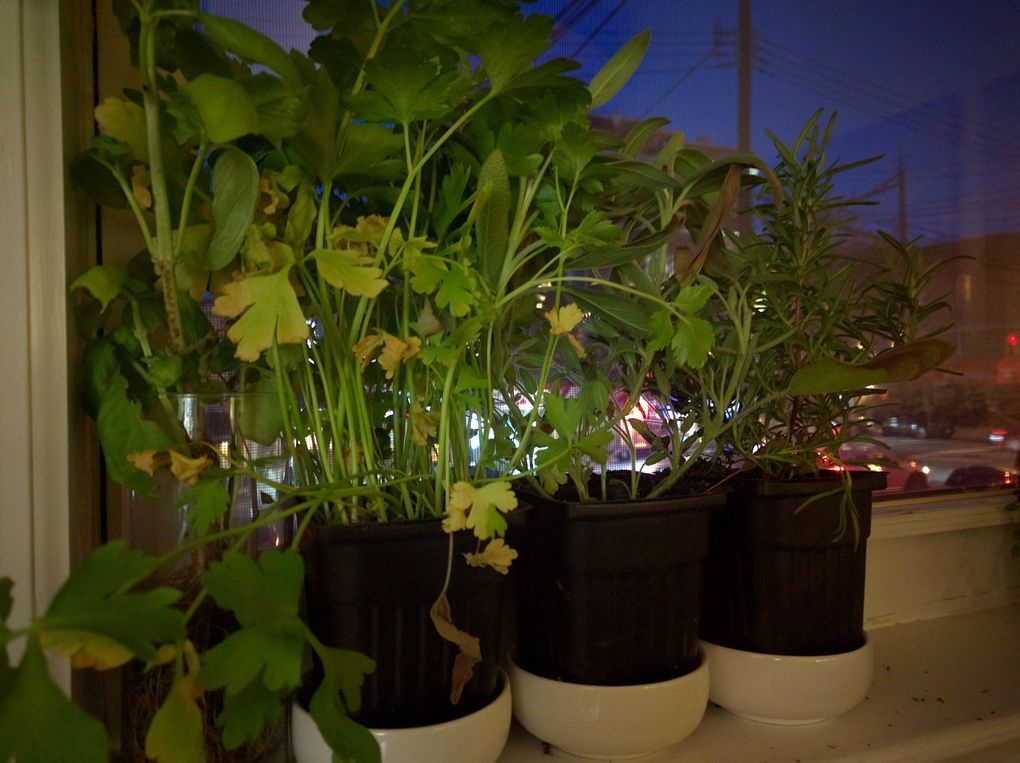 Đánh giá Huawei Nexus 6P