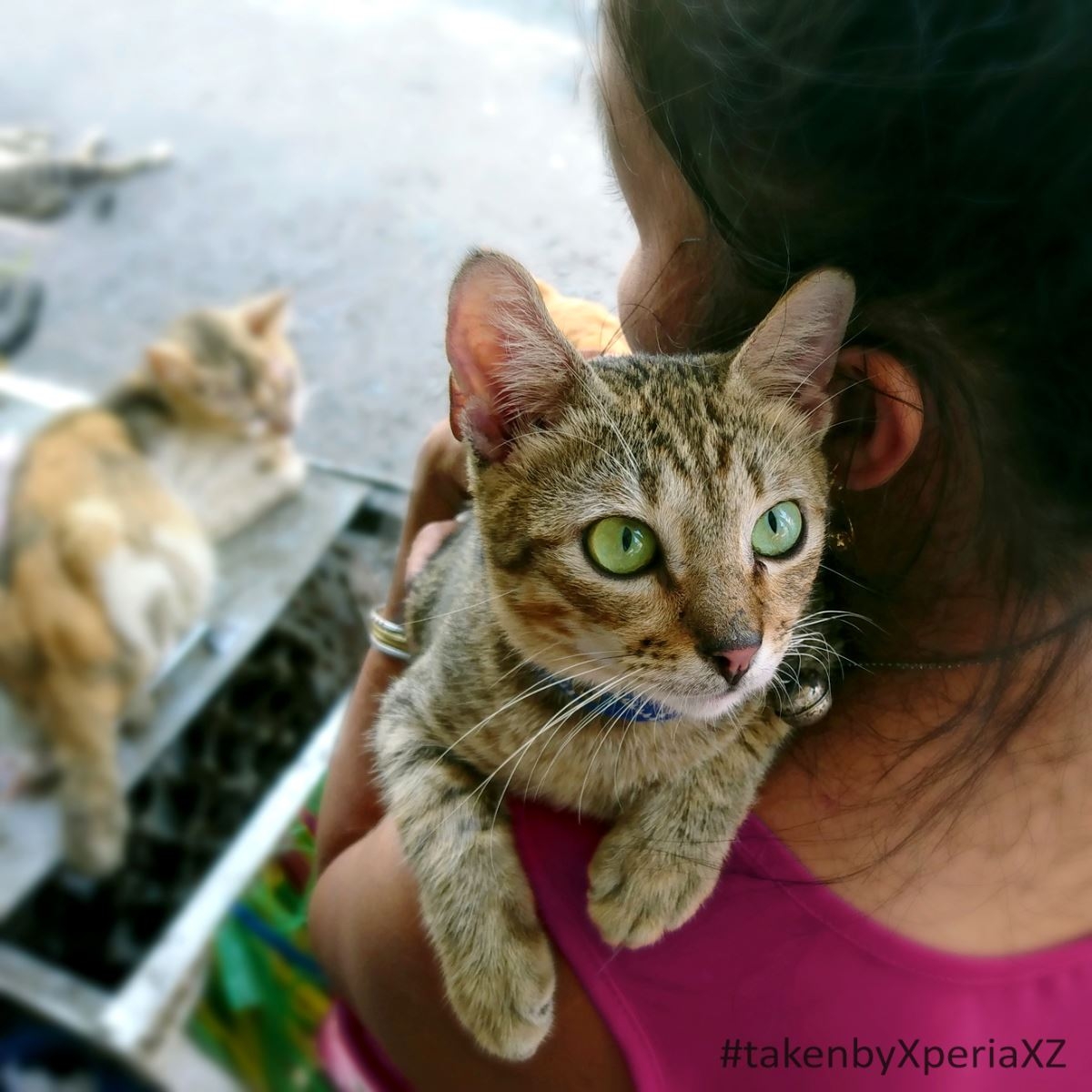 Bộ ảnh ấn tượng chụp từ camera Sony Xperia XZ