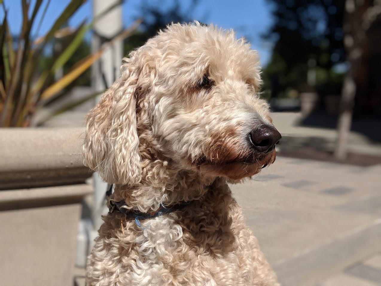 Ảnh 3 Google Pixel 2