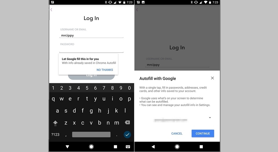 Tự đồng điền mật khẩu Tự đồng điền mật khẩu