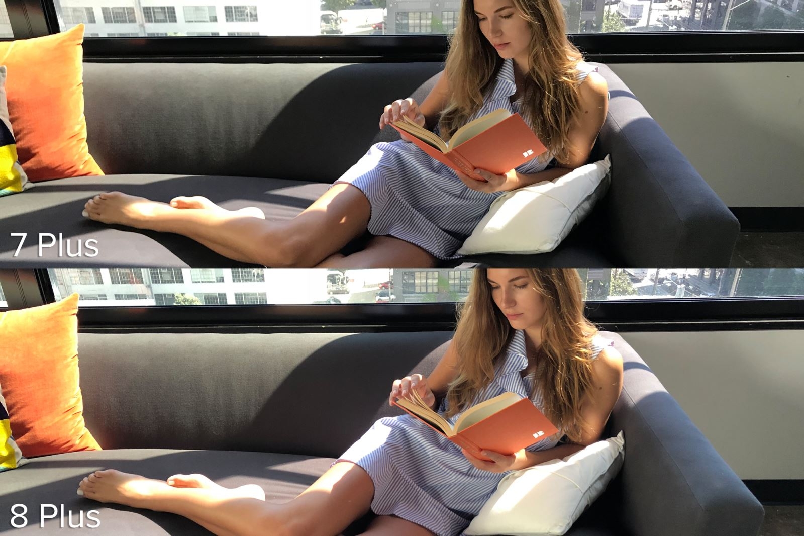 Trong môi trường ánh sáng hoàn hảo (Ảnh 1)