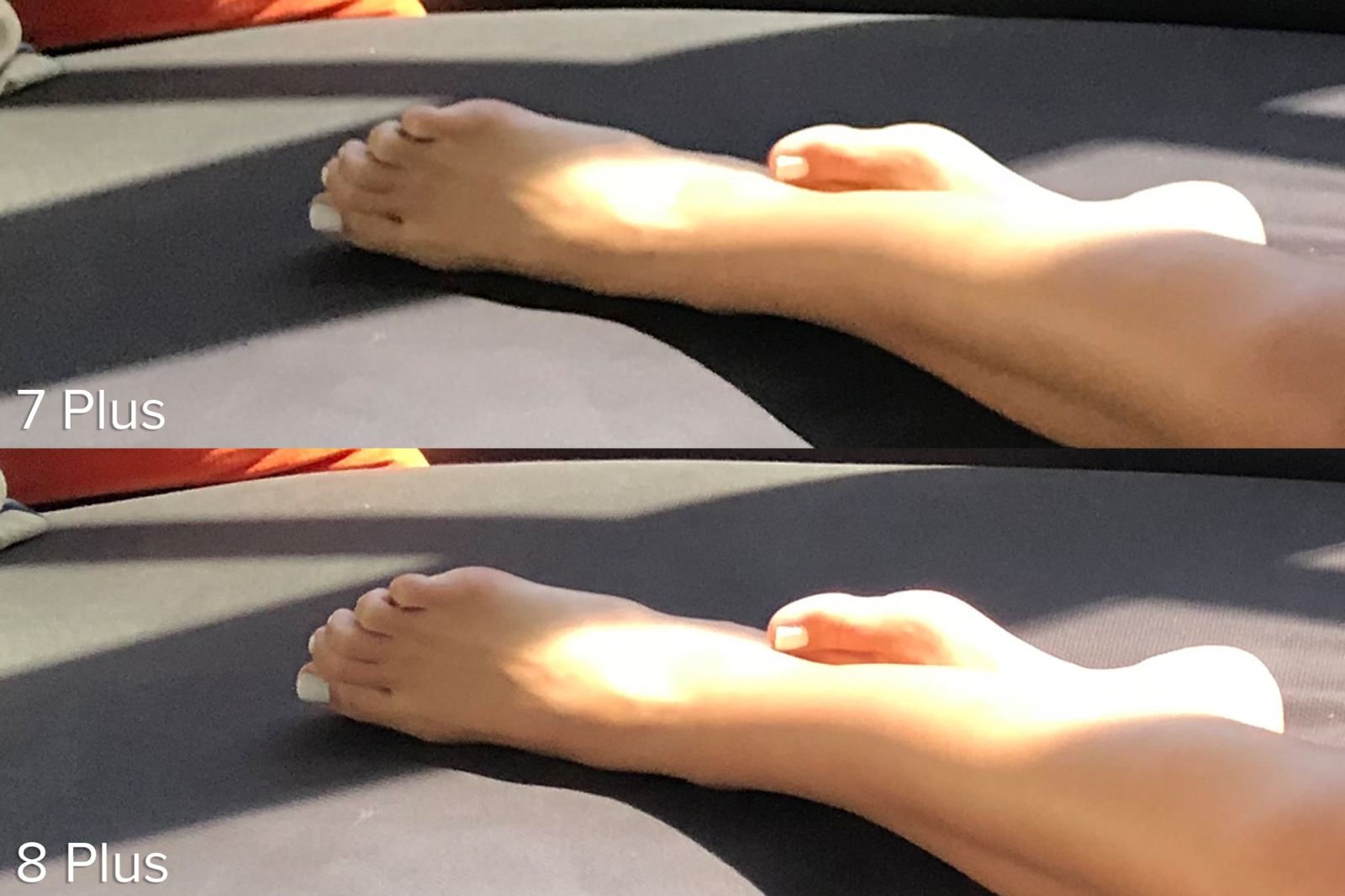 Trong môi trường ánh sáng hoàn hảo (Ảnh 1-2)