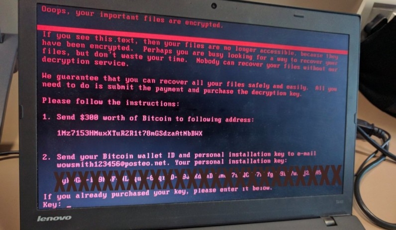 Microsoft: Ransomware Petya có mức lây lan thấp - Ảnh 2 Microsoft: Ransomware Petya có mức lây lan thấp - Ảnh 2