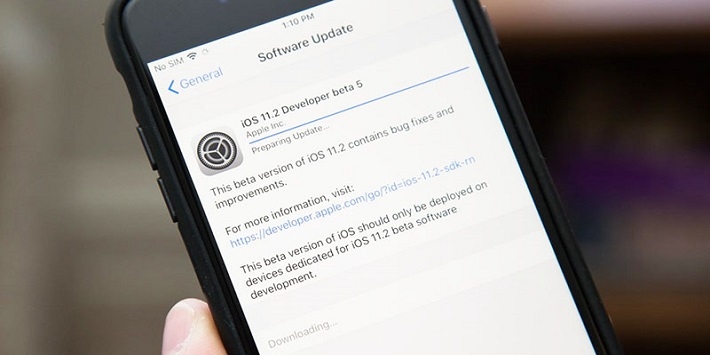 beta 5