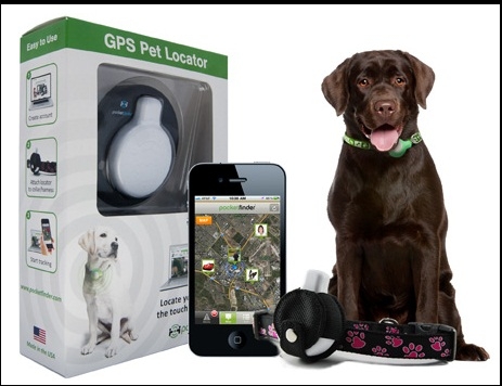 Thiết bị định vị GPS
