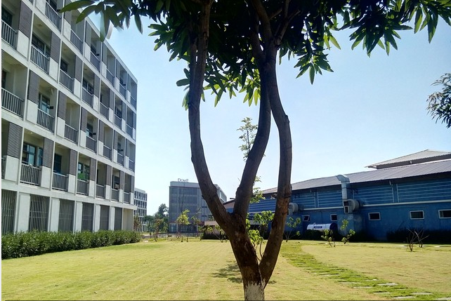 Hình ảnh chụp khi ngược sáng