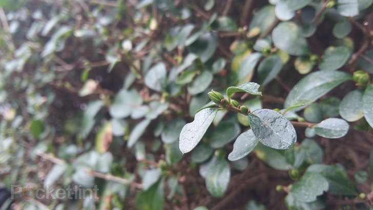 Camera của Galaxy A5
