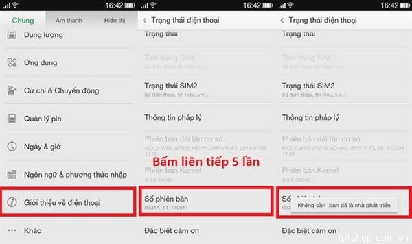 Chế độ tùy chọn nhà phát triển