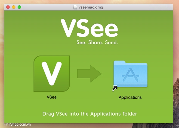 4. VSee
