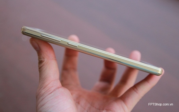 Thiết kế Massgo T5