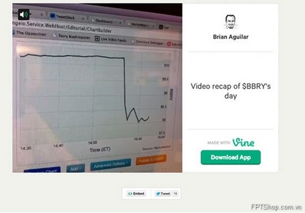 Vine