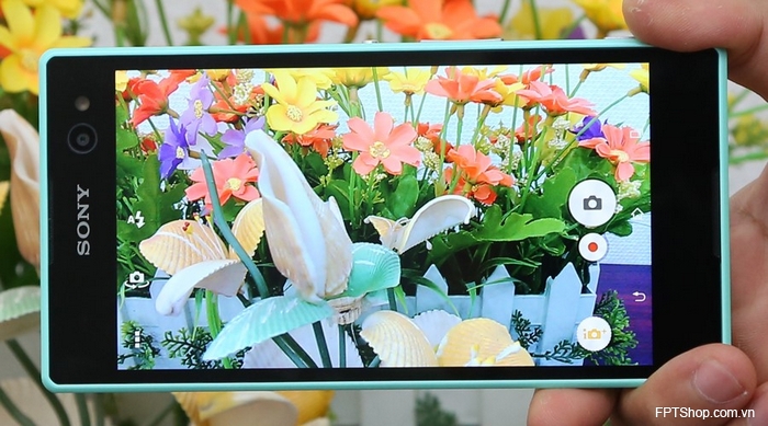 Màn hình Sony Xperia C3 Dual